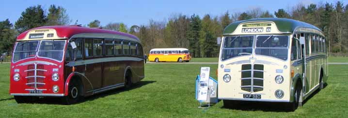 Leyland-Beadles East Kent FFN446 & Maidstone & District CO260